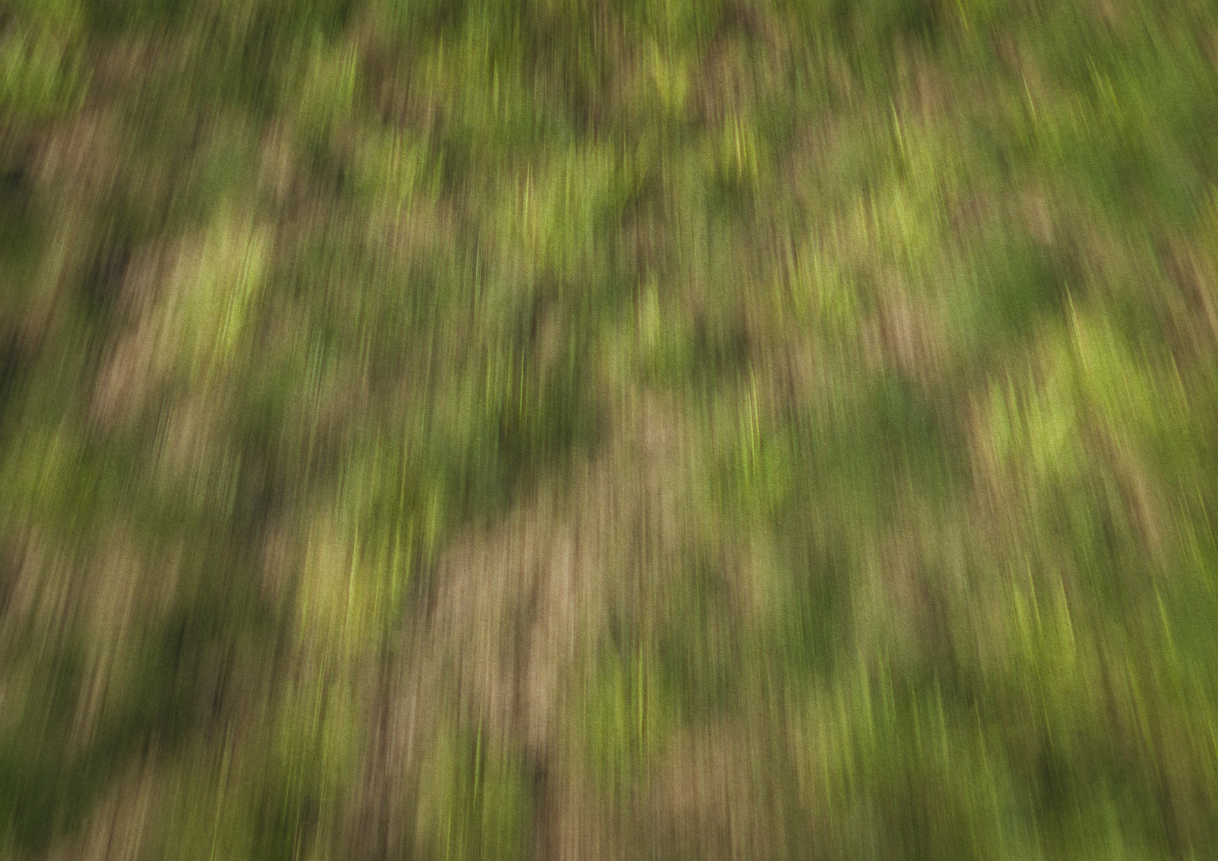 逃げ上手の若君 Image 1