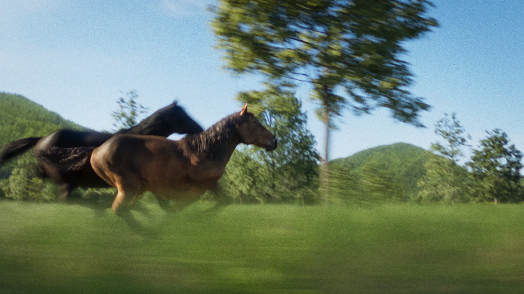 逃げ上手の若君 第12話 特殊CG